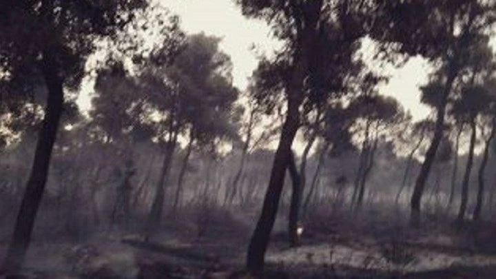 Ένας Ανθυπασπιστής και οι στρατιώτες του έσωσαν τον Άγιο Ανδρέα – Έτσι σώθηκαν οι κατασκηνώσεις (βίντεο)